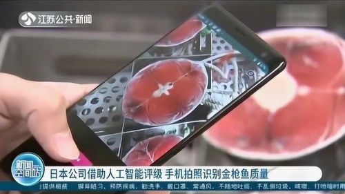 日本公司研發人工智能評級系統 用手機拍照識別金槍魚質量，引領AI應用軟件開發新浪潮